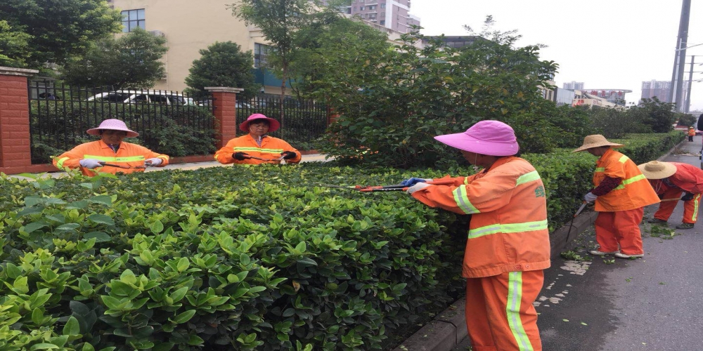 新站區(qū)道路清掃保潔、綠化管養(yǎng)項目