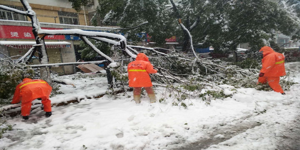 新站區(qū)道路清掃保潔、綠化管養(yǎng)項目
