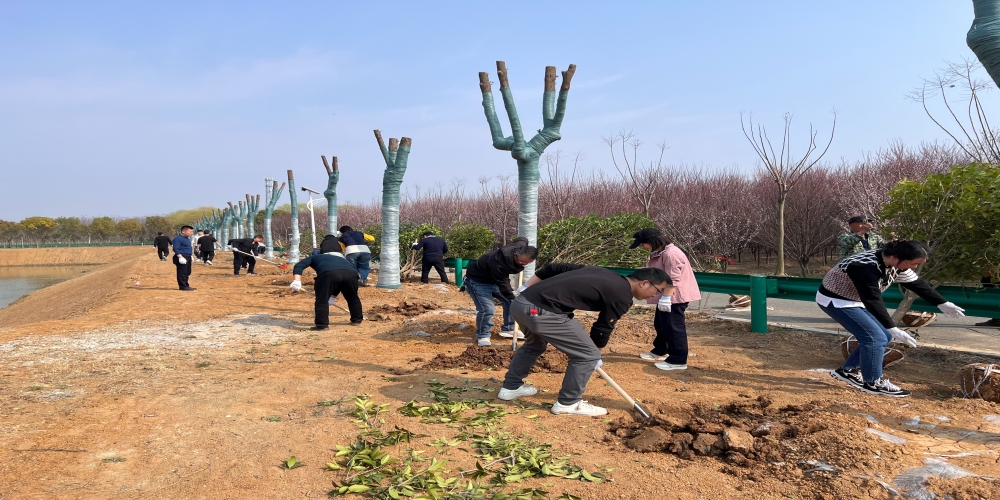 黨建引領(lǐng)共植綠 凝心聚力譜新篇 ——和合生態(tài)、德嘉置業(yè)黨支部赴小廟基地義務(wù)植樹